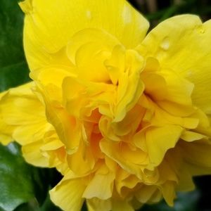 Meet your Posher, Janell